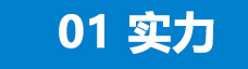 <b>10 余年行业经验，</b>技术强大